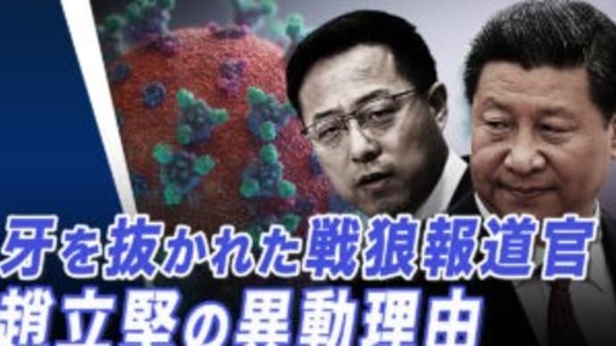 牙を抜かれた戦狼報道官 趙立堅の異動理由【世界の十字路】