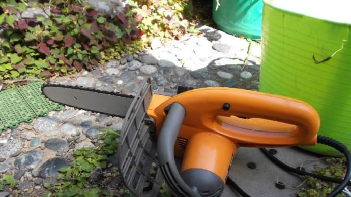 気合を入れて庭木の剪定(ほぼ伐採ですが)をやり始めました その1