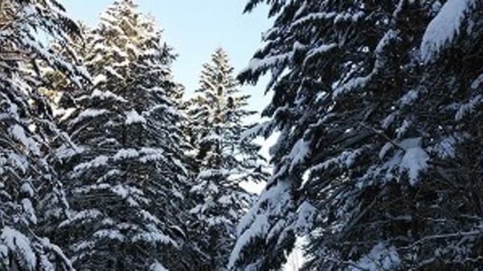 イチャンコッペ829m 裏からは敗退