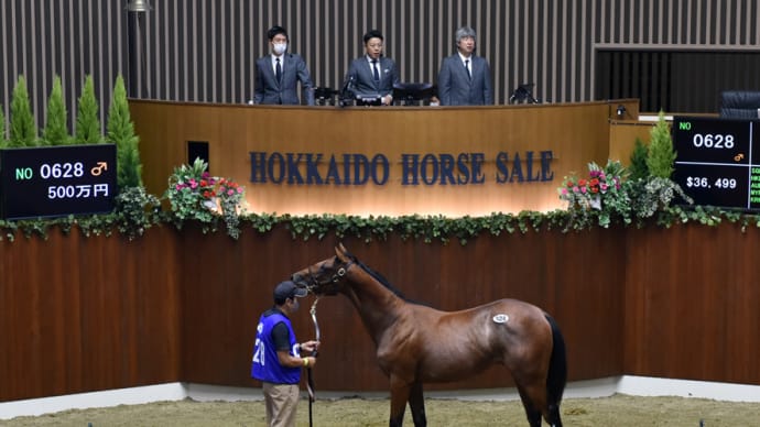 サマーセール出身馬【ミトノウォリアー(Mitono Warrior)】が「新緑賞(3歳重賞)」を優勝