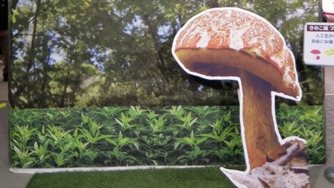 筑波実験植物園