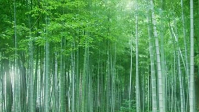 主の弟子マタイ