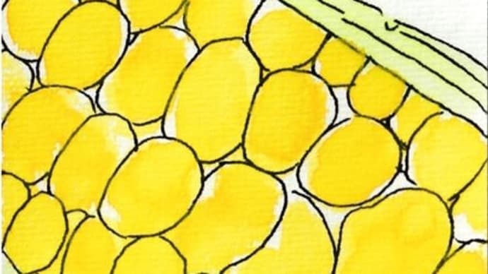 はがき絵いろはうた2周目(その3)