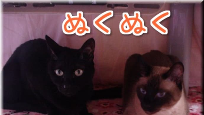 ウールサック