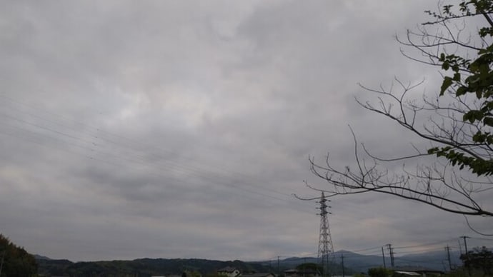 山に藤の花の空