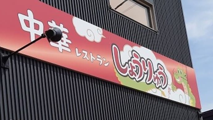 「中華レストランしょうりゅう」の「全盛りラーメン(味噌)」
