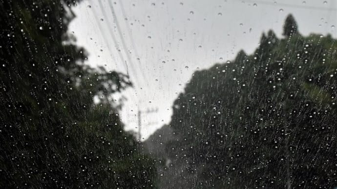 今日もエサ採り、明日もエサ採り