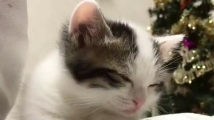 仮眠時間は