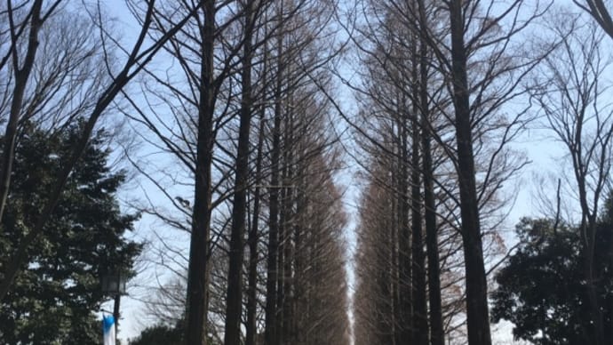 現役学生さんとのオケ合同練習でした!