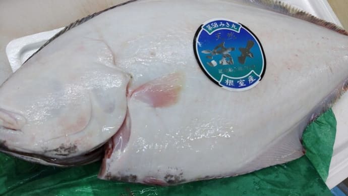 珍しい刺身!根室「オヒョウ(大平)」網走「トロにしん」えりも「真ふぐ」噴火湾「秋鮭ルイベ」!!刺身と手作り干物の専門店「発寒かねしげ鮮魚店」。