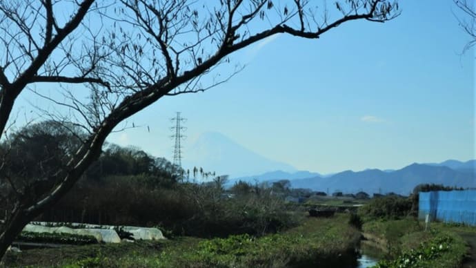 ぶらりJog~小出川里山・笹窪谷戸