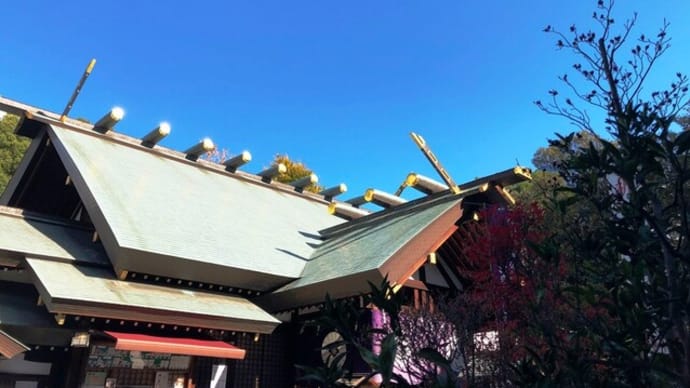 12.3 東京大神宮へ✨⛩🐤