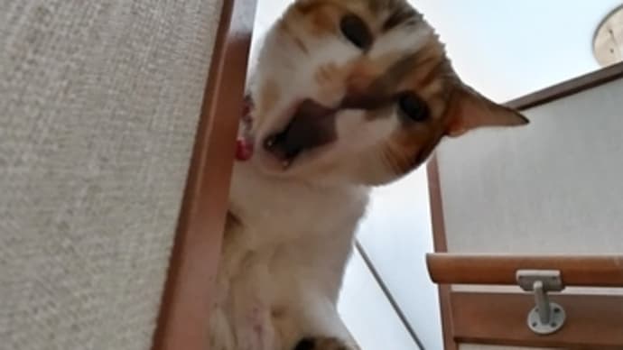 目指すものは一瞬で過ぎ去ってしまう