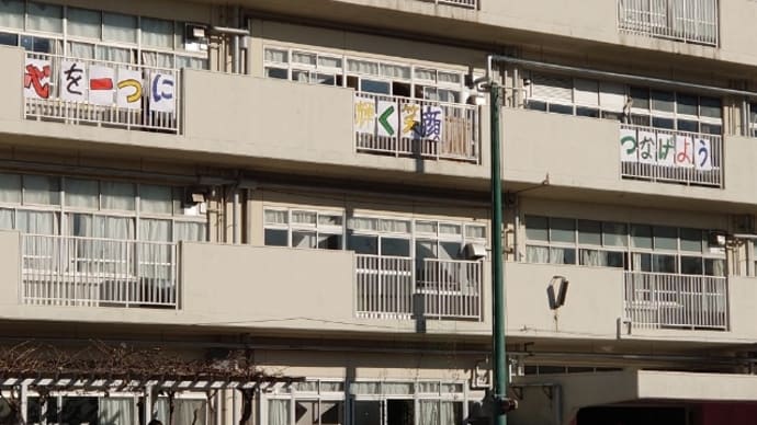 秋の運動会
