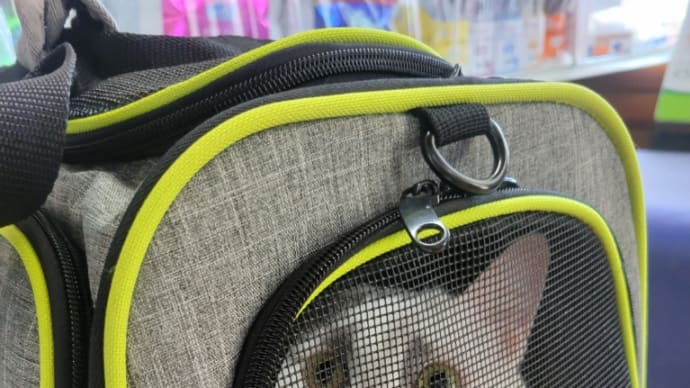 膀胱炎再び…