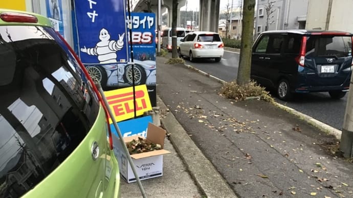 朝の運動