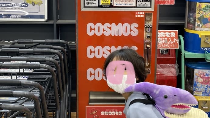 先日のみーあーのータソ・コスモス