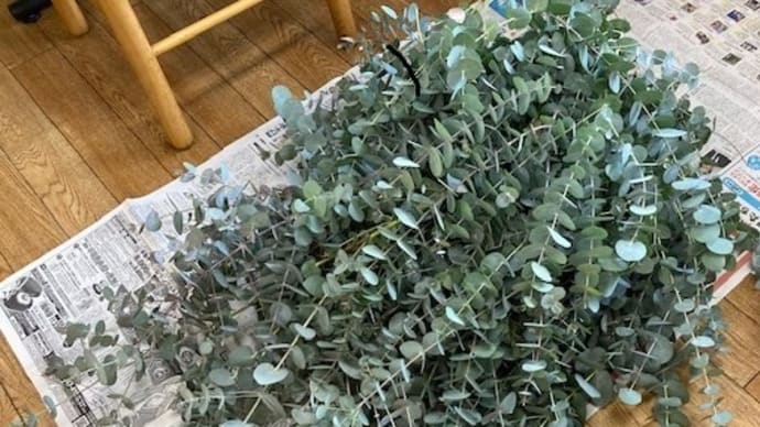 ~深谷えん旅ユーカリリース作り教室開催しました~