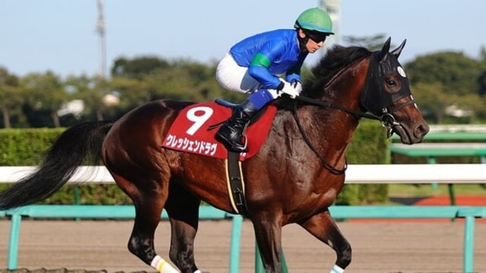 【クレッシェンドラヴ】前走をラストランとして現役引退、第二の馬生へ