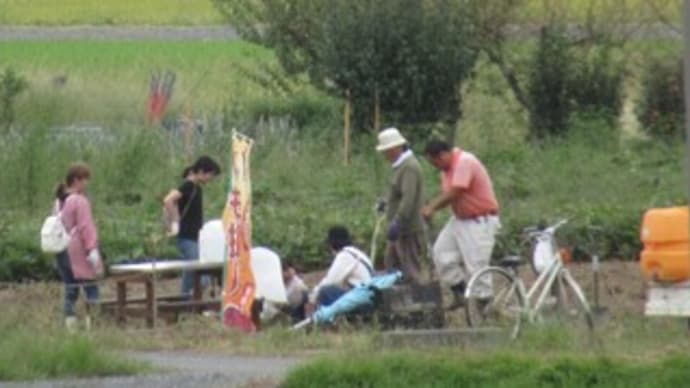 サツマイモ堀 & イオンチアーズクラブ & ハボタン & 芝桜