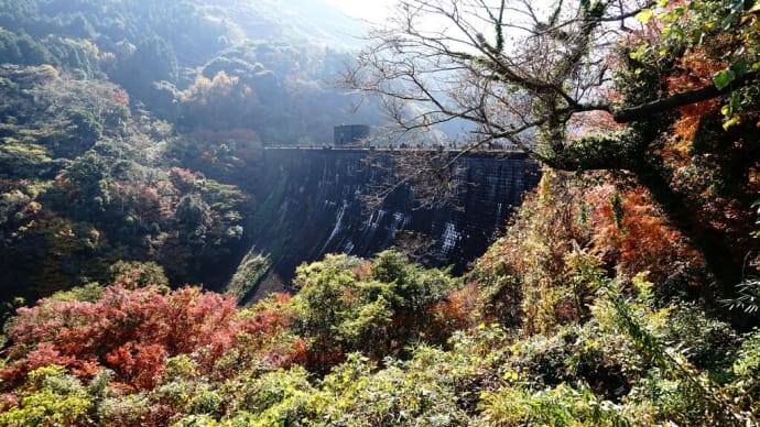 紅葉が見守る百年の時の流れ・・・北九州市河内堰提