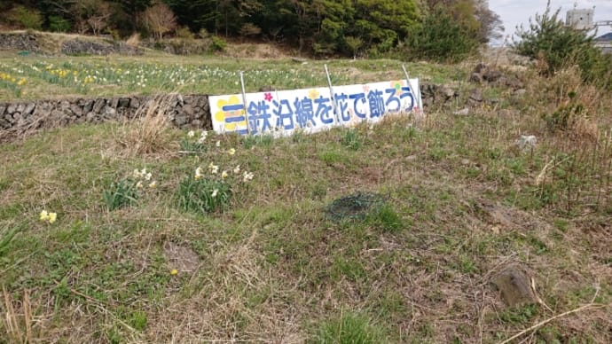 【ドライブ】大船渡に行ってきました