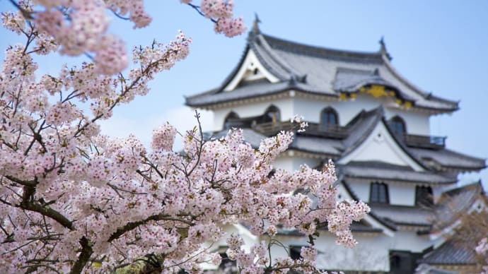 武装永世中立として大和の国・日本を取り戻す