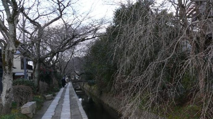 平家物語ゆかりの地を巡る旅　京都12：「哲学の道」と梅