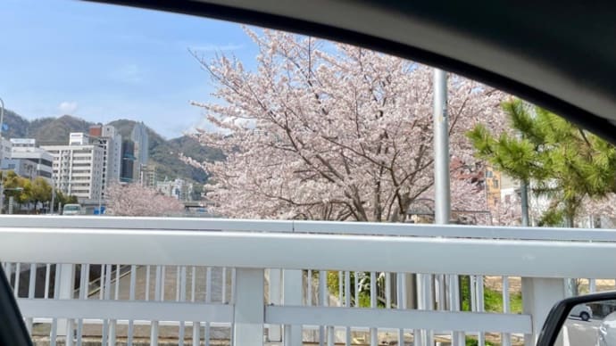 春爛漫