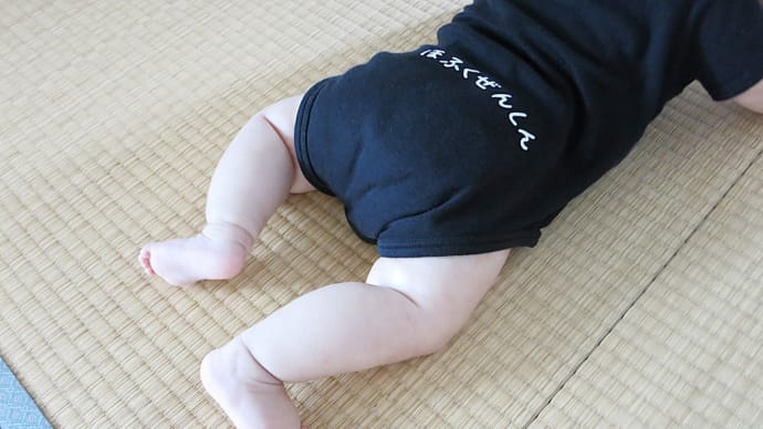 おはぎのブログが更新されました!