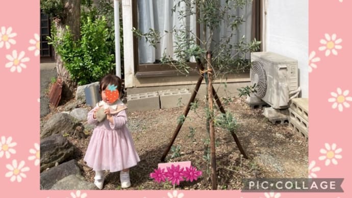 娘家族と美しい枝垂れ桜など楽しみました♪