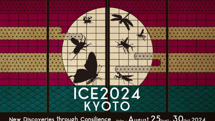 8月第4週 19日~25日 ご予定