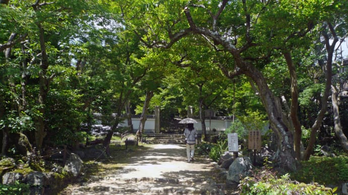 地蔵院から松尾大社!
