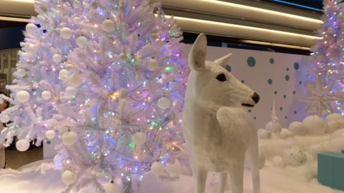2021 メリークリスマス