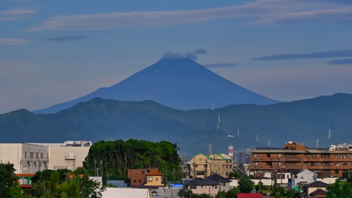 10/Jul 朝の富士山と蓮花とアベリアとムクゲと夕暮れのガビチョウ