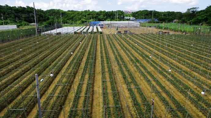 弾薬庫が見える倉敷ダムへ(20230919-①)