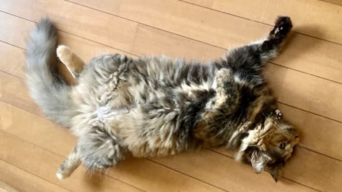 8月7日 女子もお開き⁉️