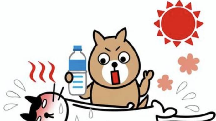 夏到来!