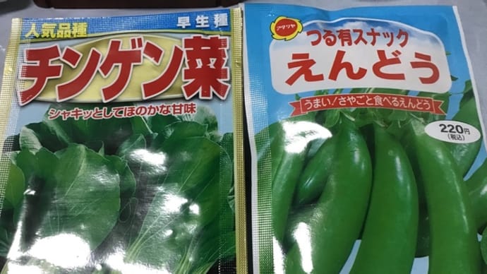 秋蒔きの種、球根の購入