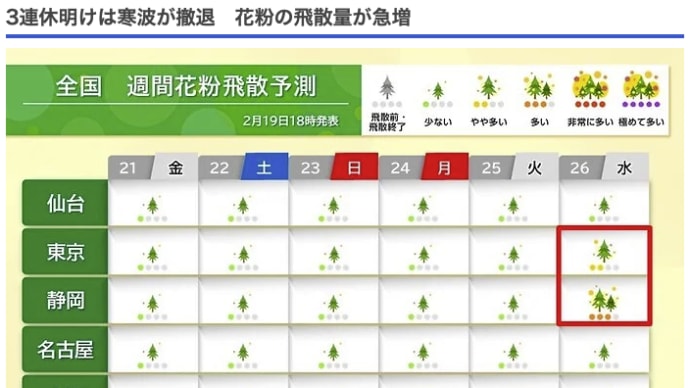 週明けからスギ花粉本格飛散!