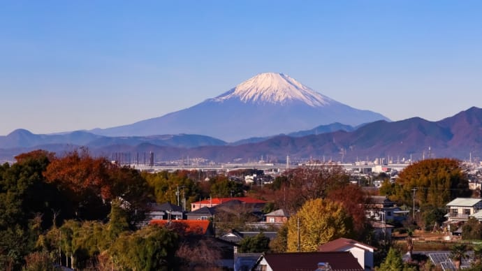 10/Dec 富士山と大銀杏と冬桜とモミジカワセミと夕月とシルエット富士