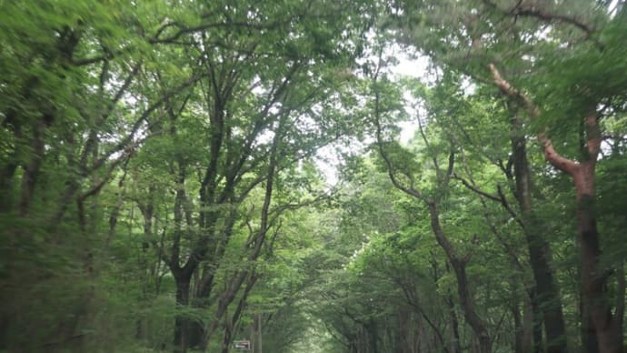 一服の清涼剤になることを願って・・・♪