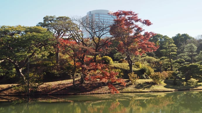 錦繍の東京風景「六義園」