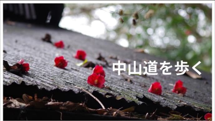中山道「美濃路」踏破計画