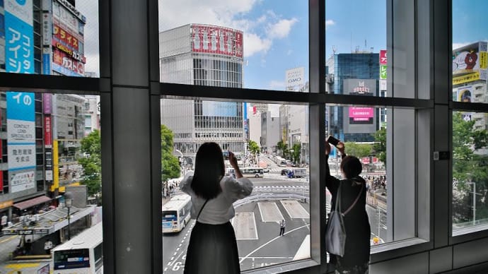 ShibuyaK