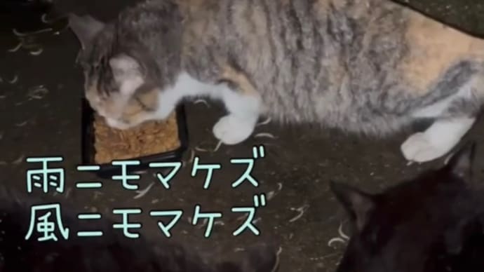 雨ニモマケズ風ニモマケズ