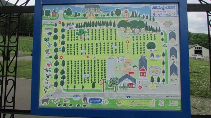【赤井川村、仁木町、余市町の花】