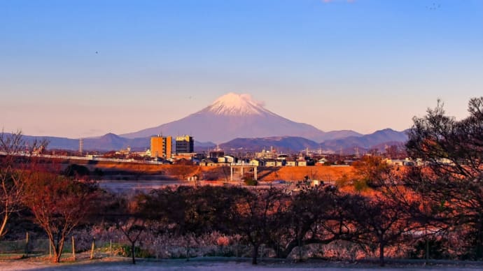 25/Dec 相模川の富士山とオオバンとカワウと夕月