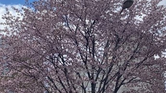 怖かった~