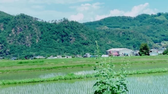 整えられた地に、記憶に刻まれた人。